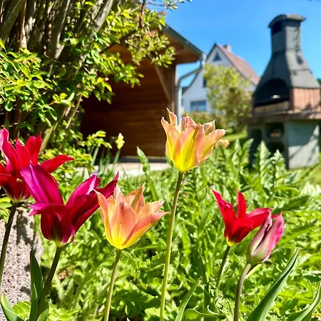 Appartement Haus Meerglueck Lachmoewe Thiessow