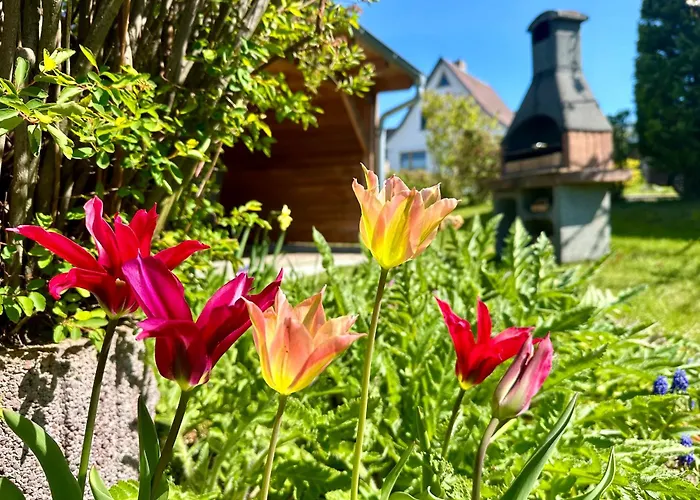 Appartamento Haus Meerglueck Lachmoewe Thiessow